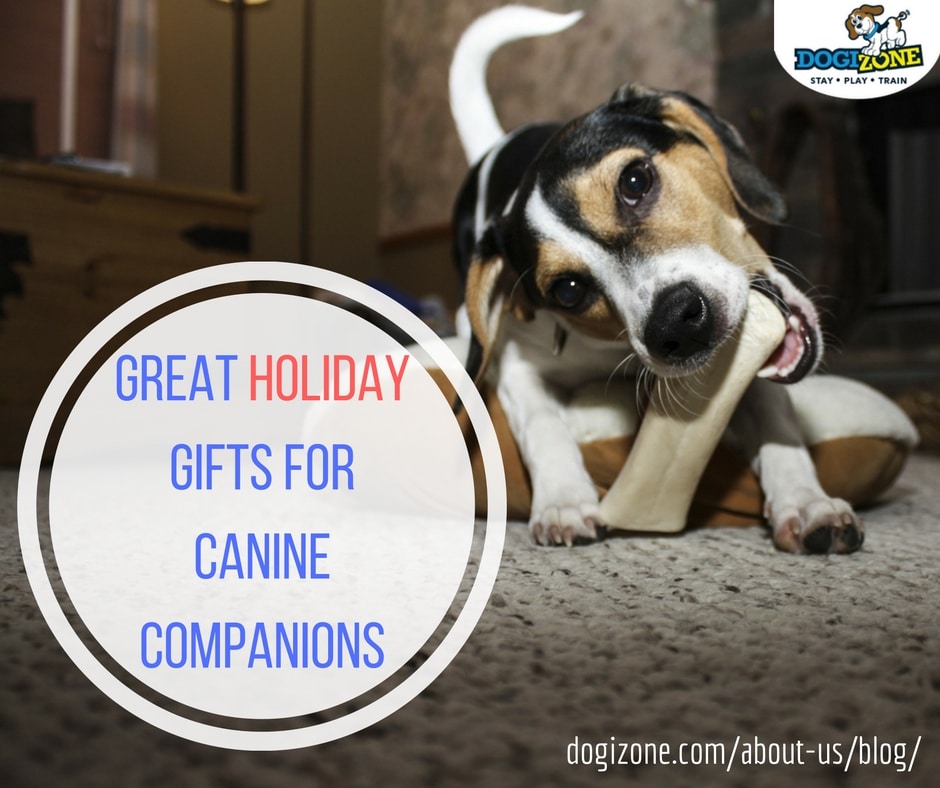 Great Holiday Gifts For Your Dog