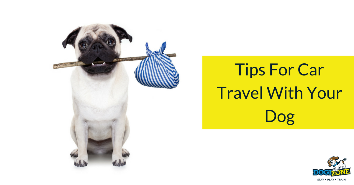 Tips For Car Travel With Your Dog Dogizone