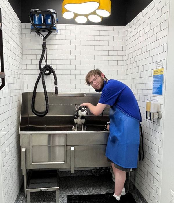 Customer washing their dog